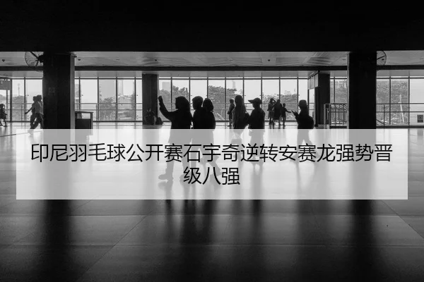 yin-ni-yu-mao-qiu-gong-kai-sai-shi-yu-qi-ni-zhuan-an-sai-long-qiang-shi-jin-ji-ba-qiang-2-664.jpg